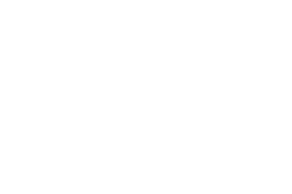 Audit2.png